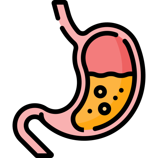 Trastornos Digestivos